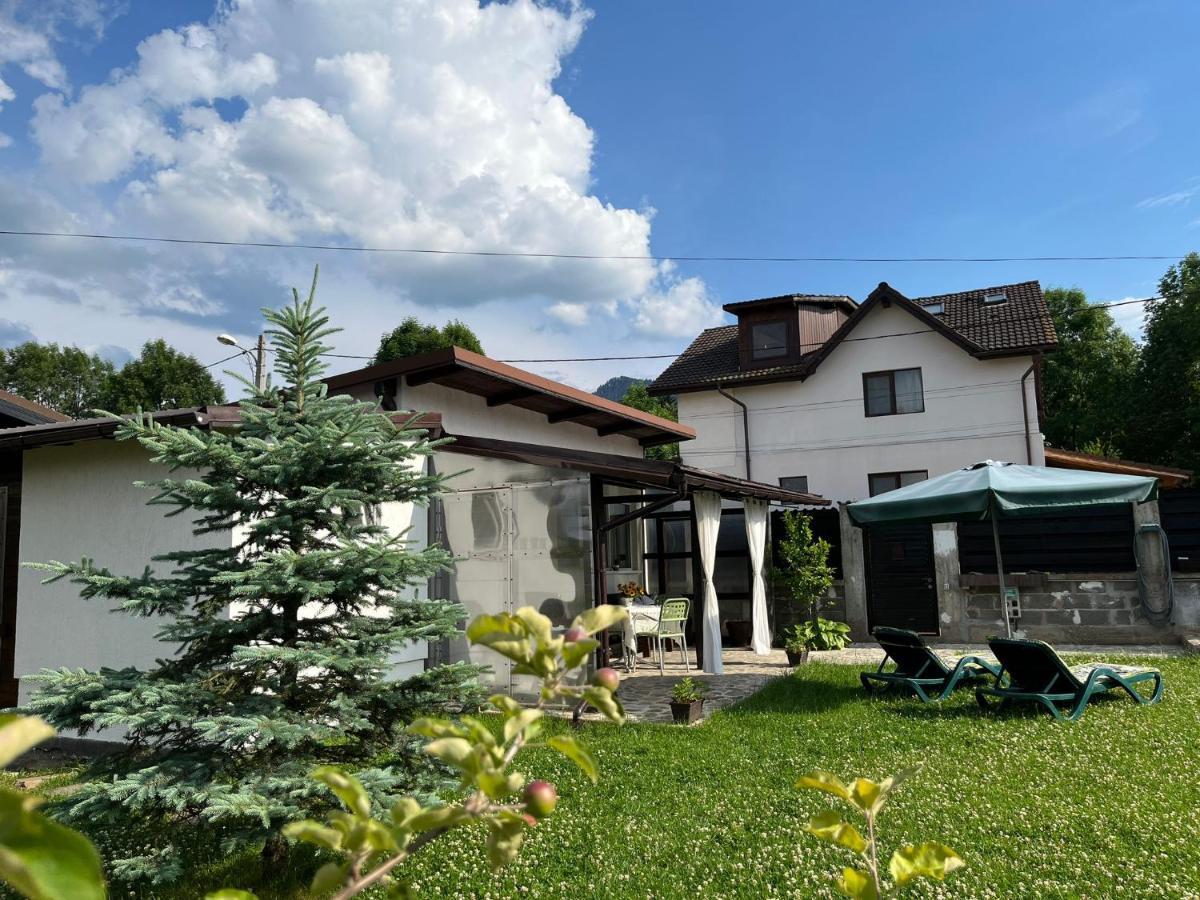 사셀레 Charmante Petite Maison Transylvanie 빌라 외부 사진
