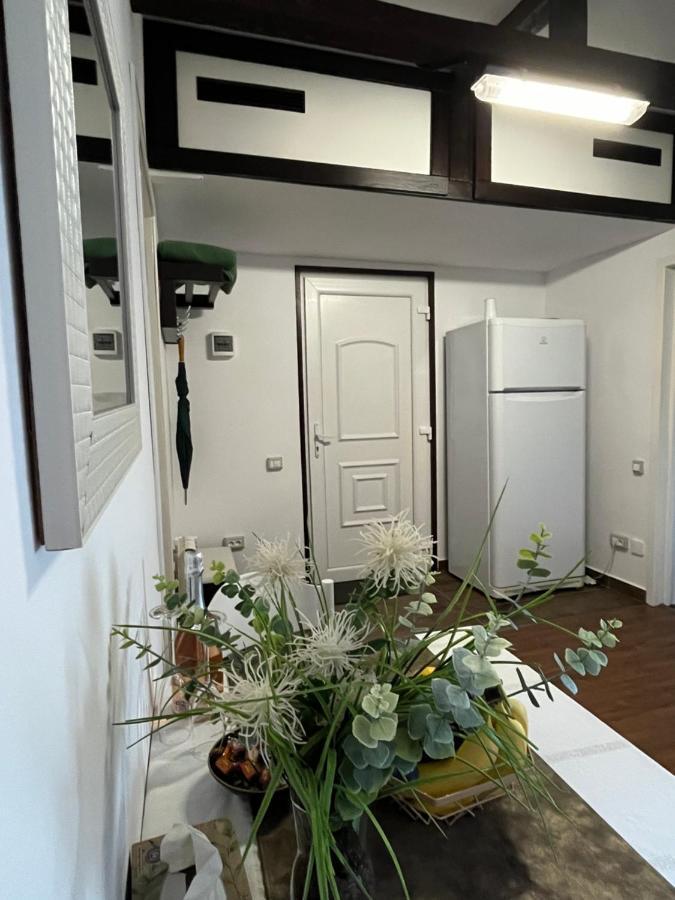 사셀레 Charmante Petite Maison Transylvanie 빌라 외부 사진